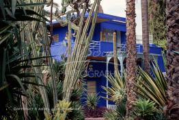 Image du Maroc Professionnelle de  Le Jardin Majorelle une pure merveille crée par le peintre français Jacques Majorelle, qui a eu le coup de foudre pour Marrakech. Yves Saint Laurent et Pierre Bergé font l’acquisition de ce havre de paix durant les années quatre-vingt où Yves Saint Laurent dessina plusieurs pièces. son voeux était de faire de ce parc une œuvre d’art vivante. On y découvre des plantes provenant des cinq continents, yuccas d’Océanie, lotus d’Asie, cactus d’Amérique, palmiers d’Afrique et cyprès d’Europe …, à Marrakech le Lundi 18 Août 1997. ((Photo / Abdeljalil Bounhar) 